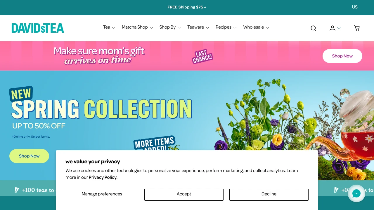 Screenshot of DAVIDsTEA website