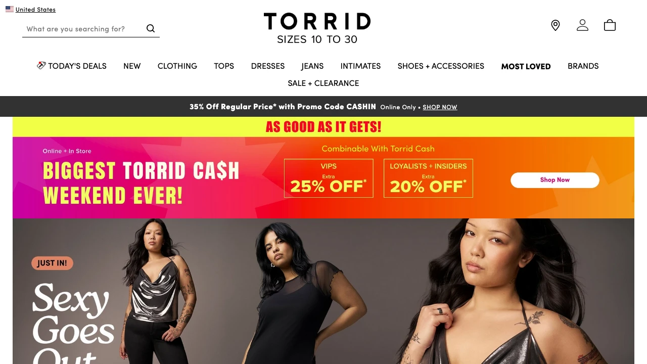 Screenshot of Torrid website